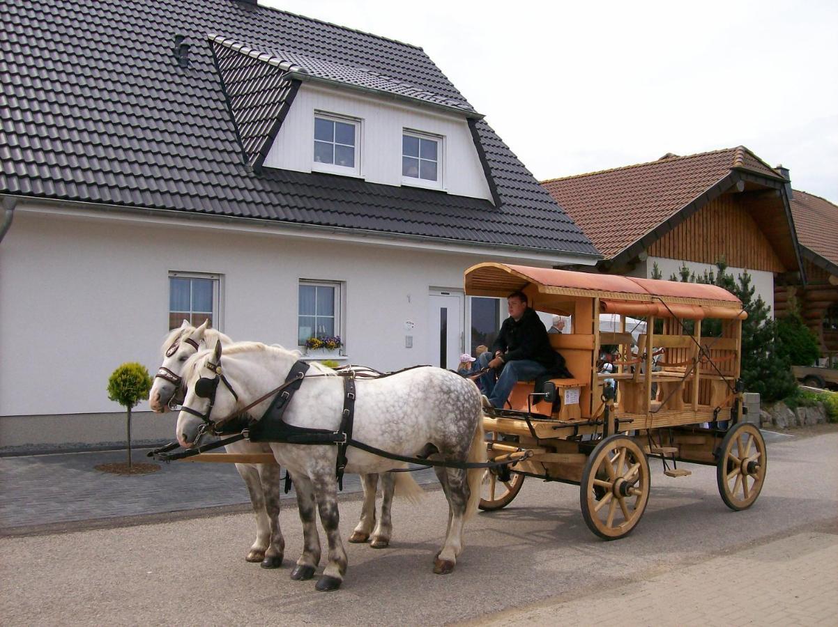 Gastehaus „Haus Am Hahnenberg“ Bed and Breakfast Marmagen Esterno foto